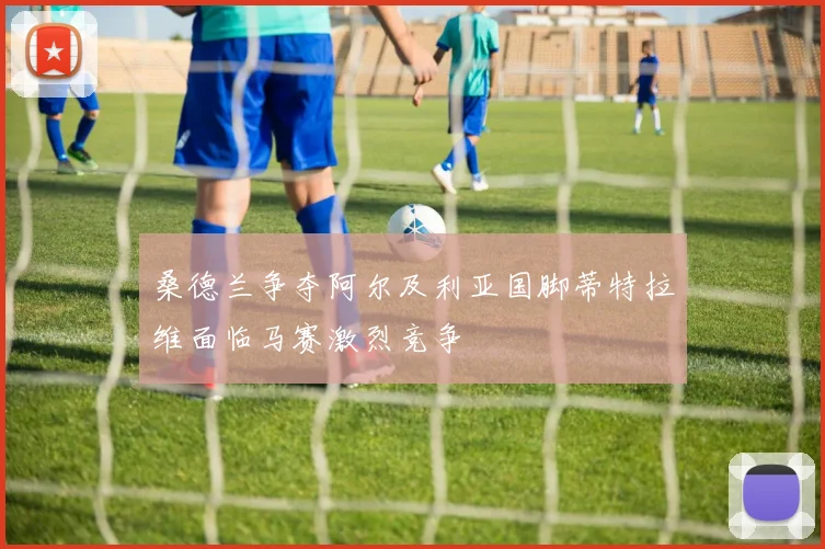 桑德兰争夺阿尔及利亚国脚蒂特拉维面临马赛激烈竞争