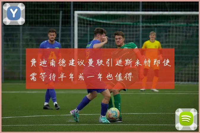 费迪南德建议曼联引进斯米特即使需等待半年或一年也值得