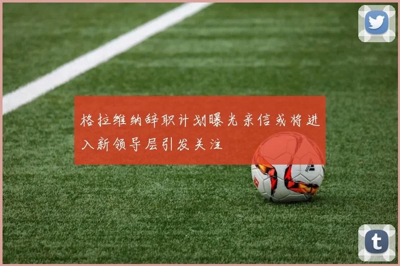 格拉维纳辞职计划曝光亲信或将进入新领导层引发关注